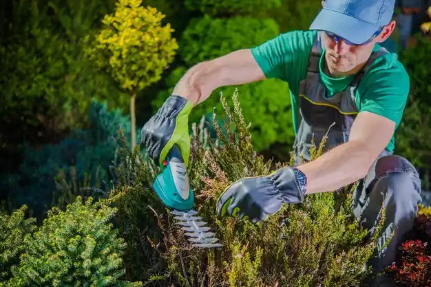 landscaping services Muir